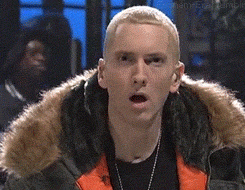 Eminem Slim Fit N-3B Parka Alpha Industries