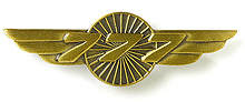  Boeing 777 Wings Pin